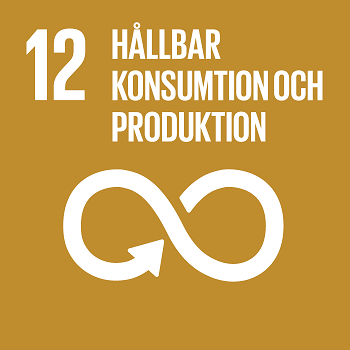 UN SDG 12 - Responsible Consumption and Production